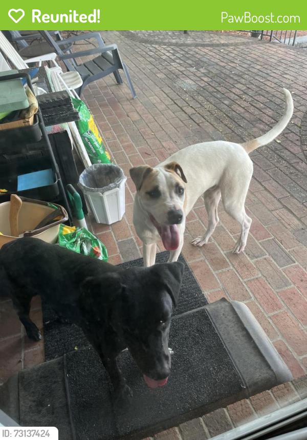 Reunited Unknown Dog last seen Buckhead. Ferncreek and Longwood., Fayetteville, NC 28314
