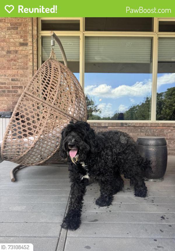Reunited Male Dog last seen NE 122nd and N sooner rd, Edmond, OK 73013