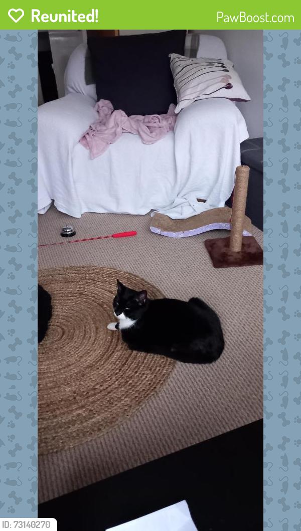 Reunited Male Cat last seen B73 5HT, Birmingham, England B73 5HT