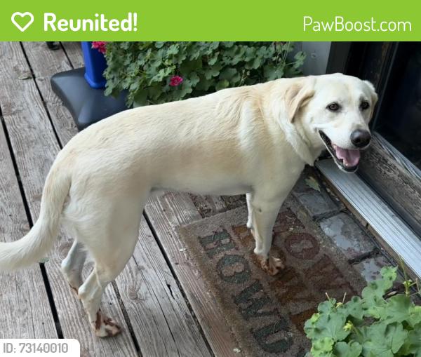 Reunited Male Dog last seen 37th and Walker, Oklahoma City, OK 73112