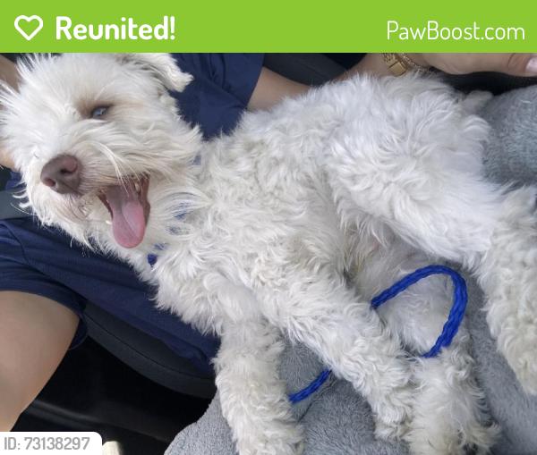 Reunited Male Dog last seen Near Dearborn Way, Aurora, CO 80011, USA, Aurora, CO 80011