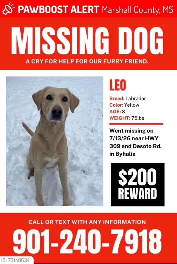 Lost Male Dog last seen Hwy 309 and Desoto rd, Marshall County, MS 38611
