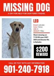 Lost Male Dog last seen Hwy 309 and Desoto rd, Marshall County, MS 38611