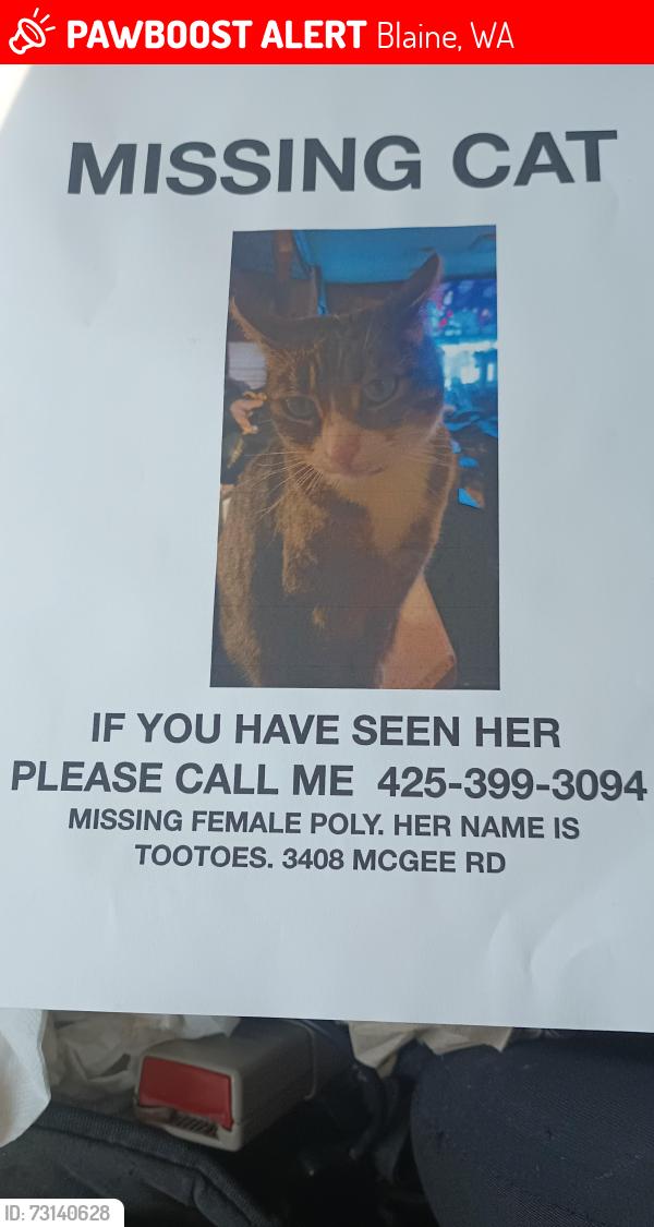 Lost Female Cat last seen Off Valley View road, Blaine, WA 98230
