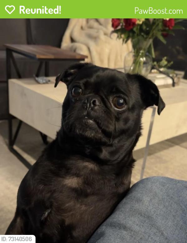 Reunited Male Dog last seen Winding Elm Trail, Houston, TX 77084, USA, Houston, TX 77084