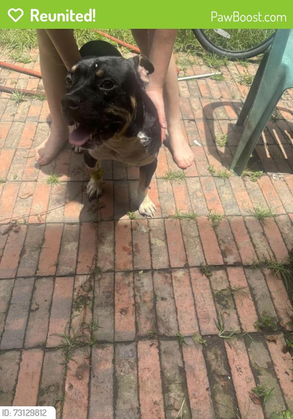 Reunited Male Dog last seen 297A near the Eacambia County Road department, Escambia County, FL 32560