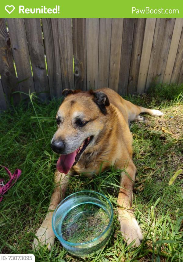 Reunited Unknown Dog last seen nw 140th, Edmond, OK 73013