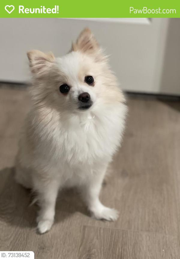 Reunited Female Dog last seen E 44th st, Des Moines, IA 50317