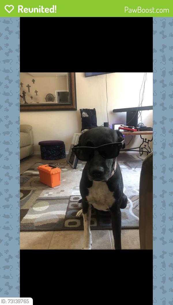 Reunited Female Dog last seen Babcock, San Antonio, TX 78240
