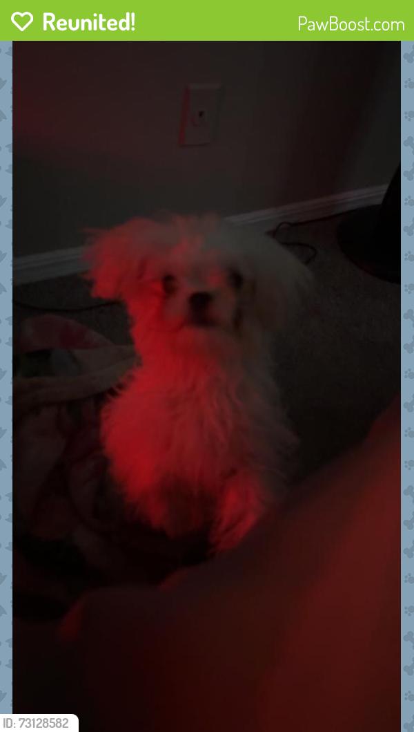 Reunited Female Dog last seen I-44 E Tulsa, OK 74107 United States, Tulsa, OK 74107