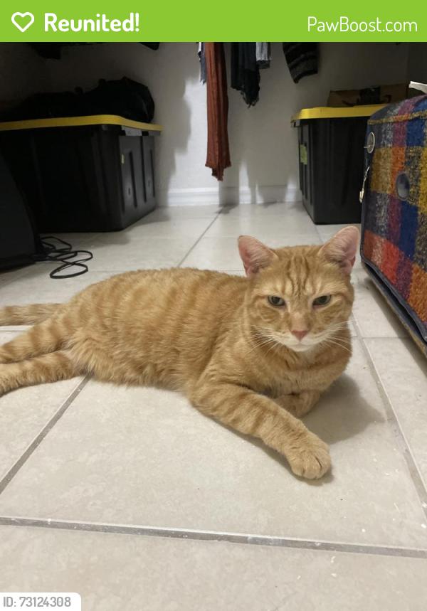 Reunited Male Cat last seen Victoria Woods neighborhood on Summit, West Palm Beach, FL 33415