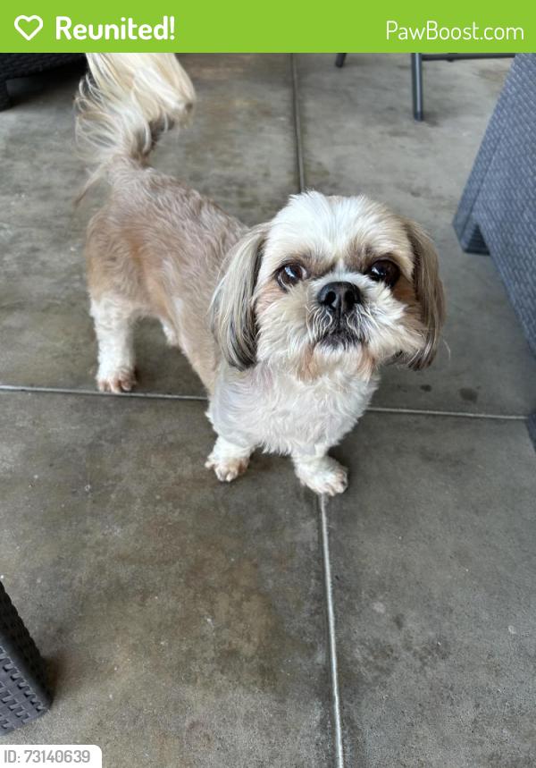 Reunited Unknown Dog last seen Larkstone and Laurinda Orange, Orange, CA 92869