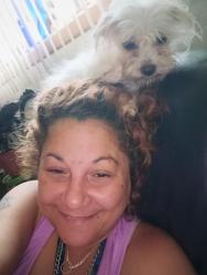 Reunited Female Dog last seen 20th St and 12th ave s moorhead,mn, Moorhead, MN 56560