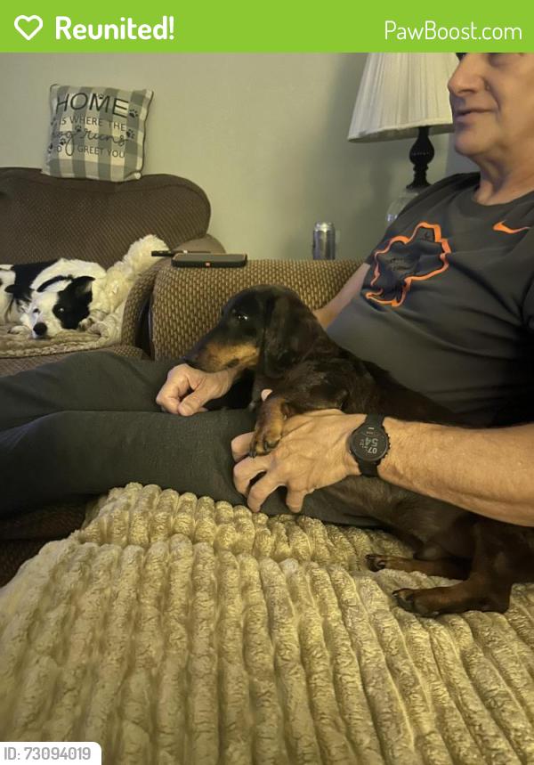 Reunited Male Dog last seen Peoria Ave, Skiatook, OK 74070