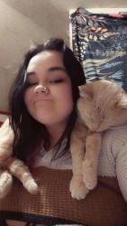 Lost Male Cat last seen English ave and franklin rd, Indianapolis, IN 46219