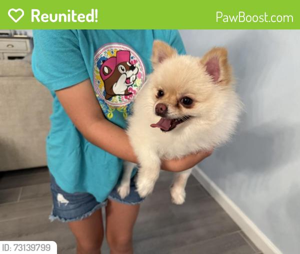 Reunited Unknown Dog last seen Valencia Blossom St & Wild Mulberry Dr - Waterbrooke, Clermont, FL 34711