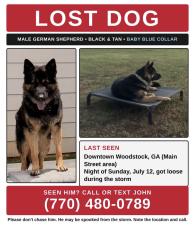 Reunited Male Dog last seen Hobgood park, Cherokee County, GA 30189
