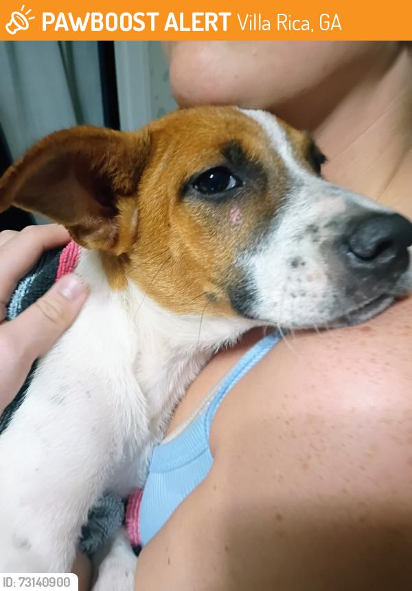 Found/Stray Female Dog last seen Pleasant Grove Church Rd, Villa Rica, GA 30180