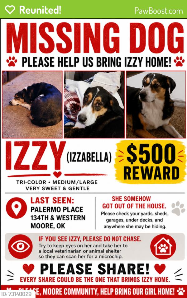 Reunited Female Dog last seen 134th and Western, Oklahoma City, OK 73170
