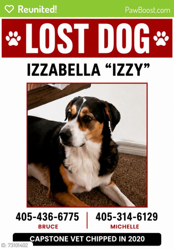Reunited Female Dog last seen 149th and western, Oklahoma City, OK 73170