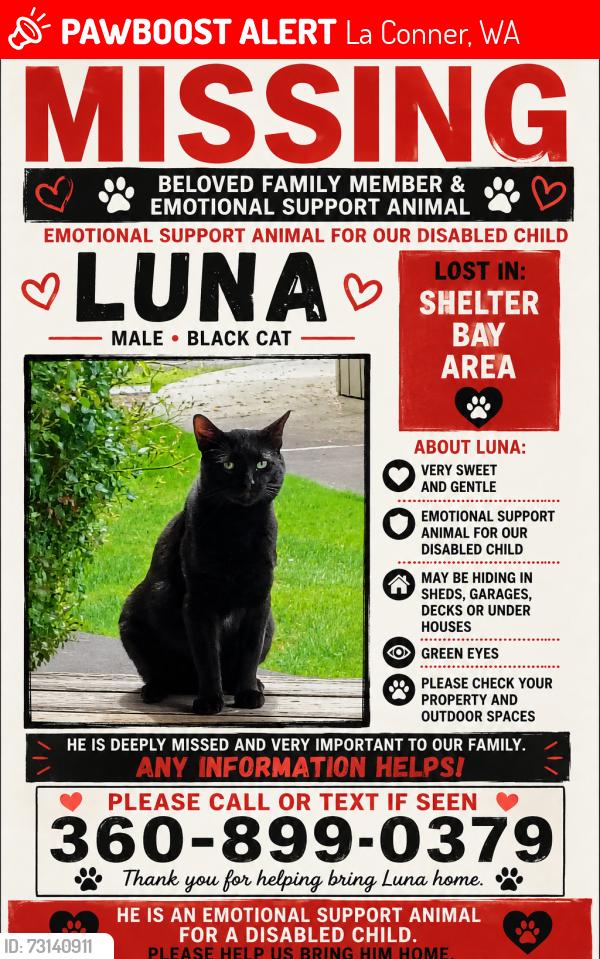 Lost Male Cat last seen Swinomish drive, La Conner, WA 98257