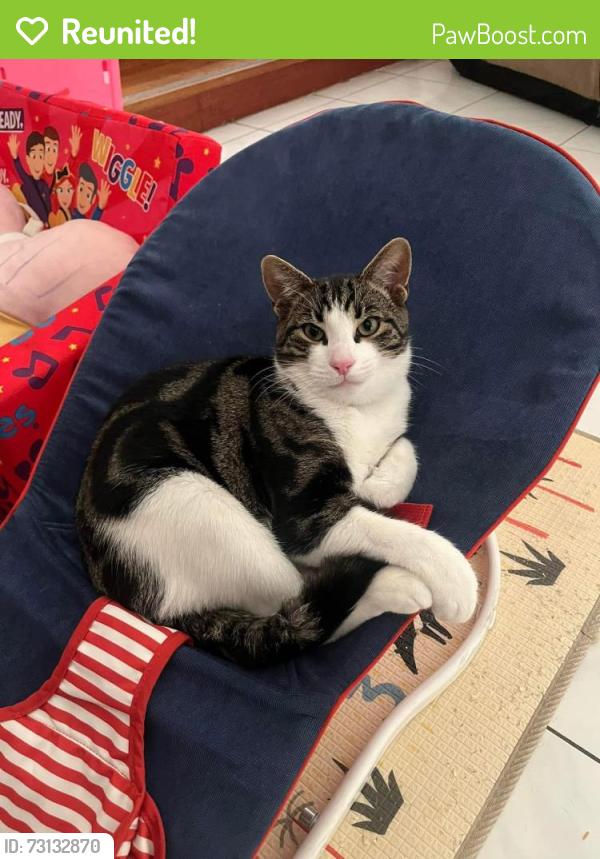 Reunited Male Cat last seen Keilor Downs Recreation Reserve Playground, Keilor Downs, VIC 3038