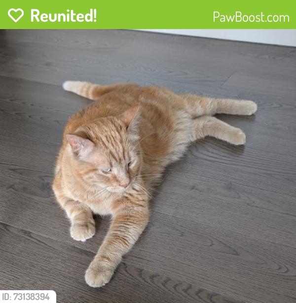 Reunited Male Cat last seen Near N 300 W, Salt Lake City, UT 84103