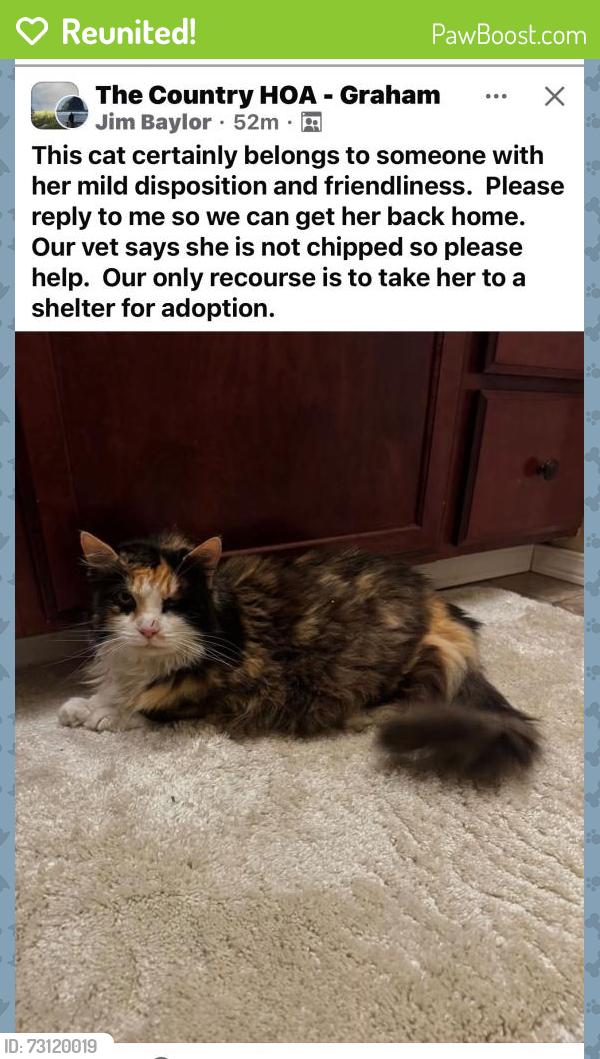 Reunited Female Cat last seen Country Dr E, Graham, WA 98338, USA, Graham, WA 98338
