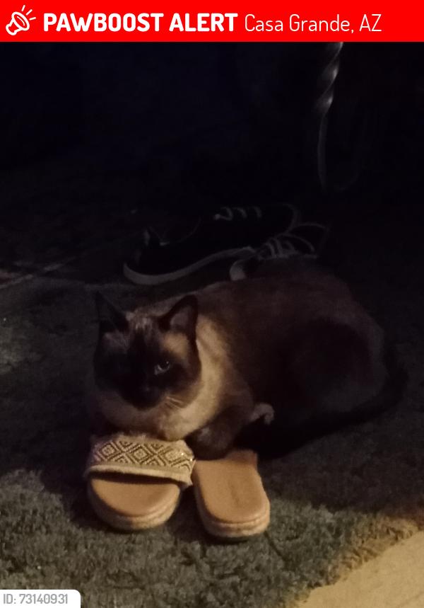 Lost Male Cat last seen Off of Bee Bee lane in the mountain views ests, Casa Grande, AZ 85193