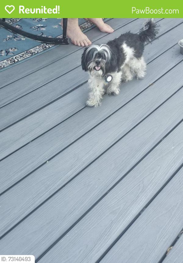 Reunited Male Dog last seen Aurora hills middle school, Aurora, CO 80012