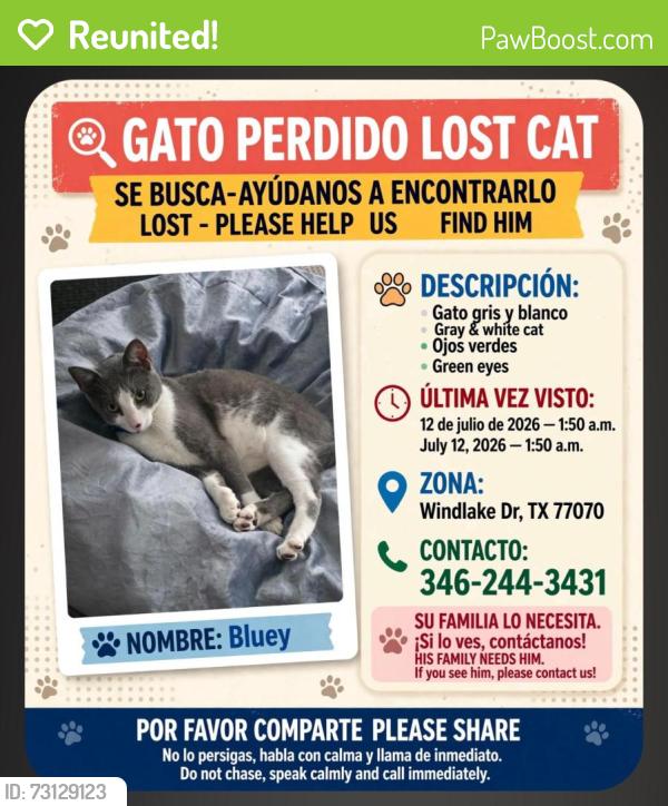 Reunited Male Cat last seen Windlake Dr, Houston, TX 77070