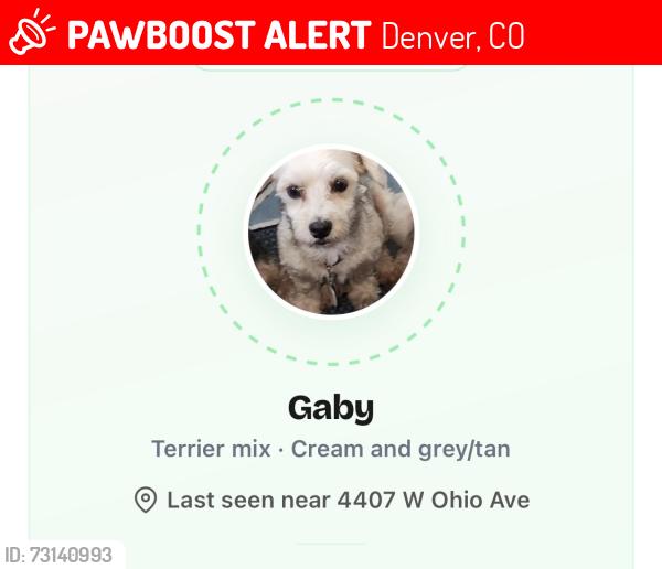 Lost Female Dog last seen Ohio Ave and Morrison Rd, Denver, CO 80219
