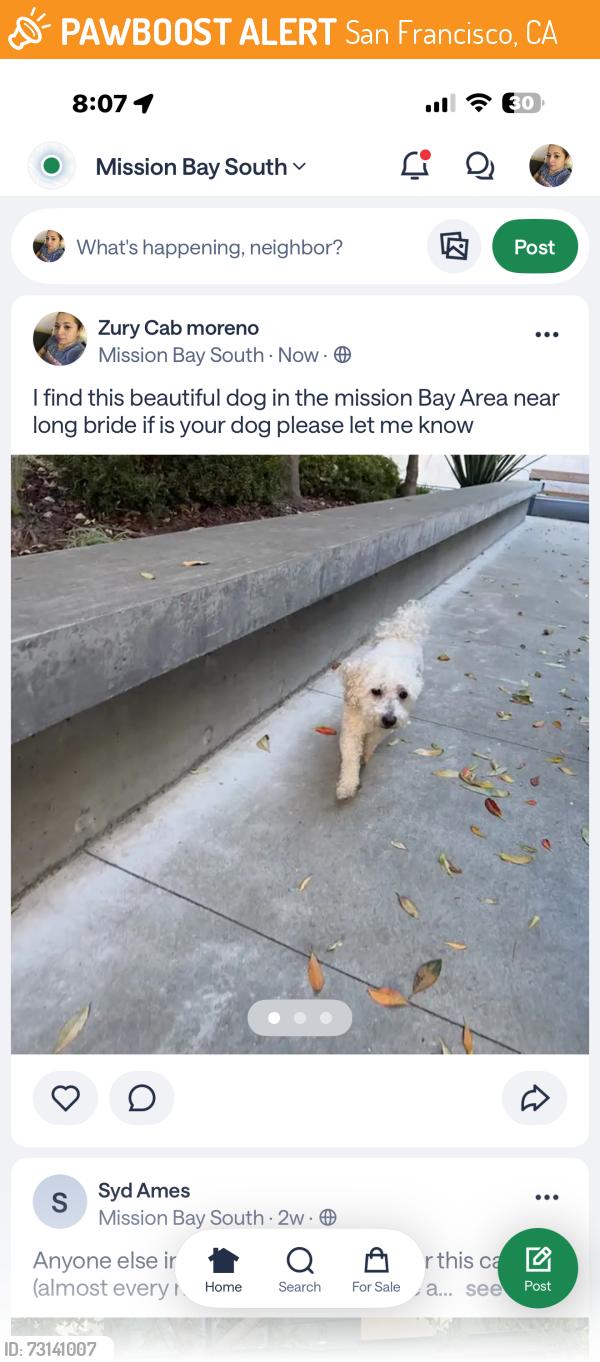Found/Stray Male Dog last seen Mission Bay Area, San Francisco, CA 94158