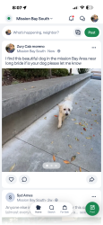 Found/Stray Male Dog last seen Mission Bay Area, San Francisco, CA 94158