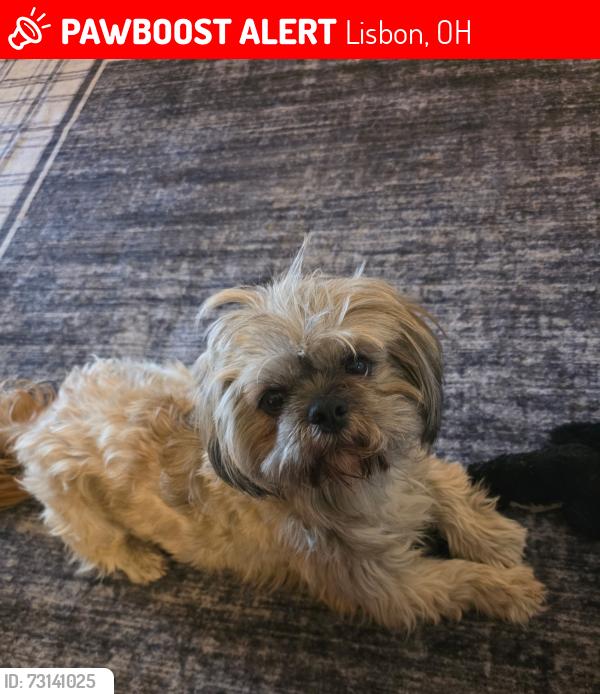 Lost Male Dog last seen Near w. Lincoln way, Lisbon oh. 44432, Lisbon, OH 44432