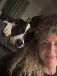 Reunited Male Dog last seen United States post office in Joshua, Joshua, TX 76058
