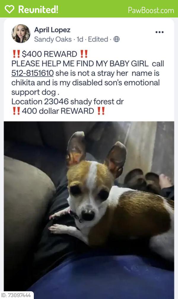 Reunited Female Dog last seen Lowman, Elmendorf, TX 78112