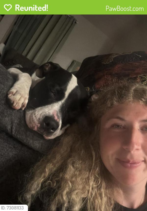Reunited Male Dog last seen United States post office in Joshua, Joshua, TX 76058