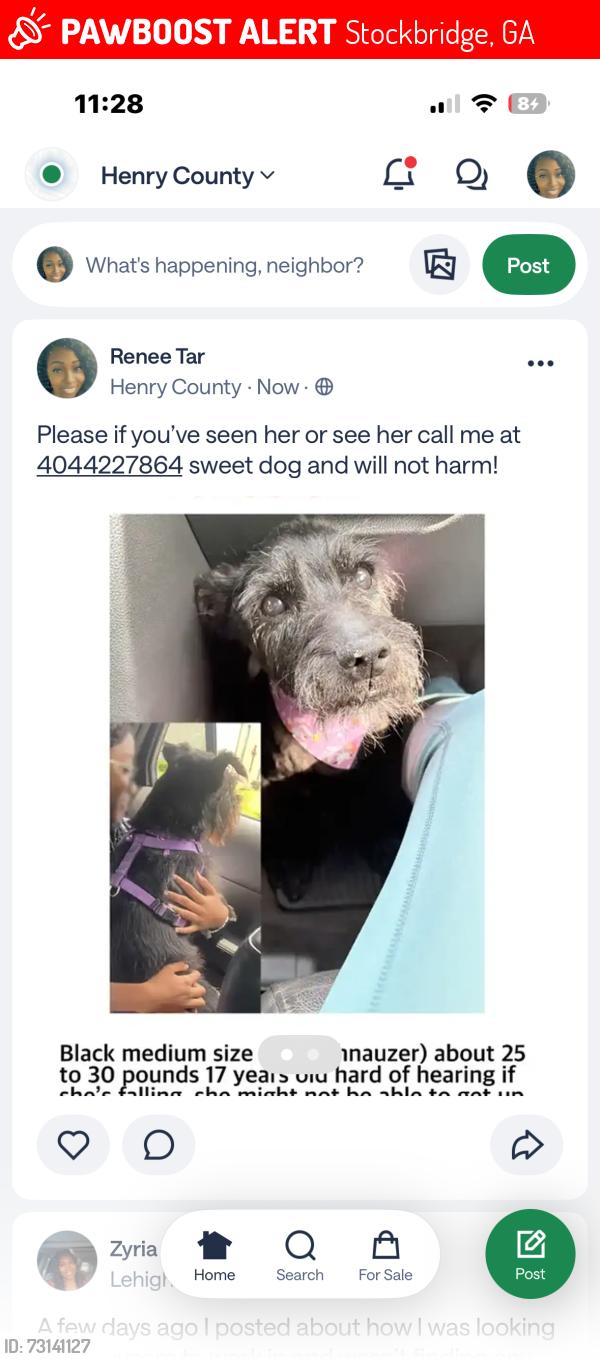 Lost Female Dog last seen Near, Stockbridge, GA 30281