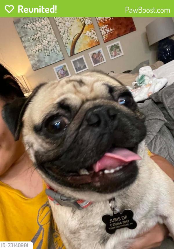 Reunited Male Dog last seen Near Avenida Del Luna Ave, Las Vegas, NV 89119, Las Vegas, NV 89119
