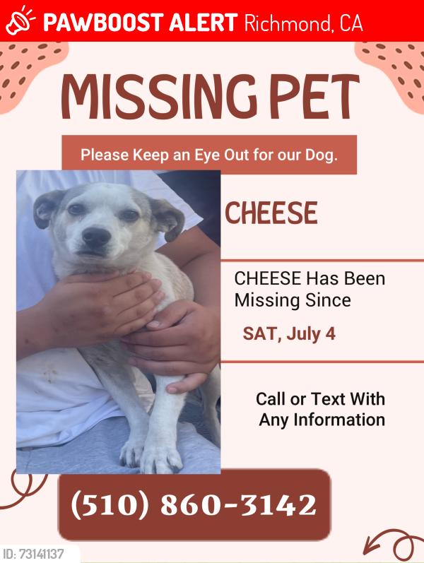 Lost Male Dog last seen Between Barret Ave. and Nevin Avenue, Richmond, CA 94808