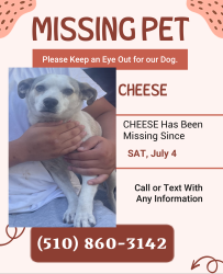 Lost Male Dog last seen Between Barret Ave. and Nevin Avenue, Richmond, CA 94808