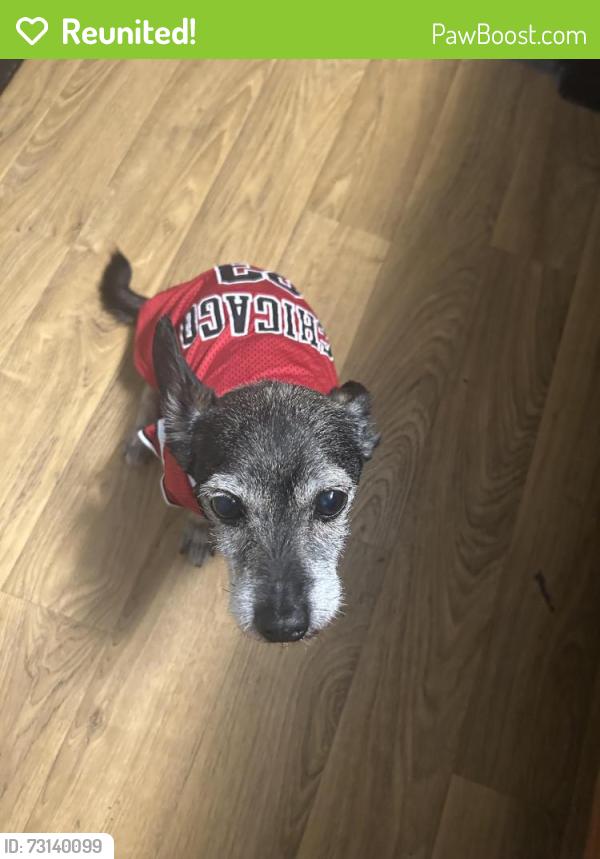 Reunited Male Dog last seen Pleasant Grove Dr, Missouri City, TX 77459, Sienna, TX 77459