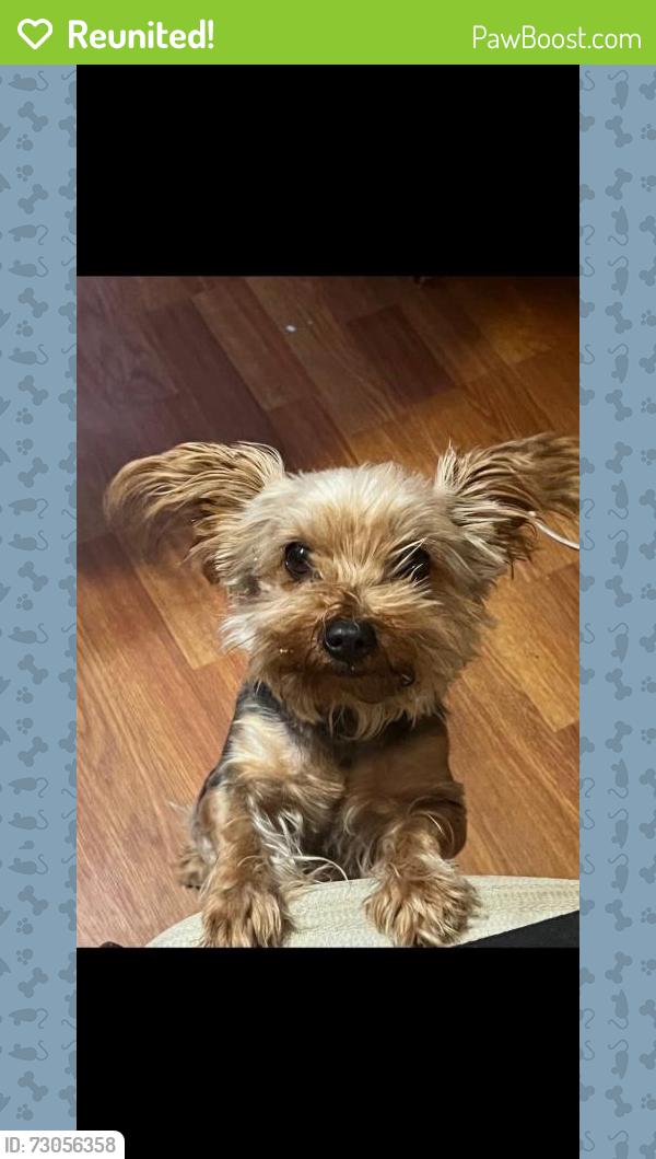 Reunited Female Dog last seen 10th St, Ceres, CA 95307, USA, Ceres, CA 95307