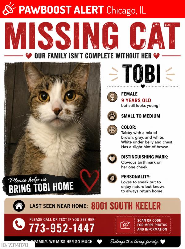 Lost Female Cat last seen Keeler, Chicago, IL 60652