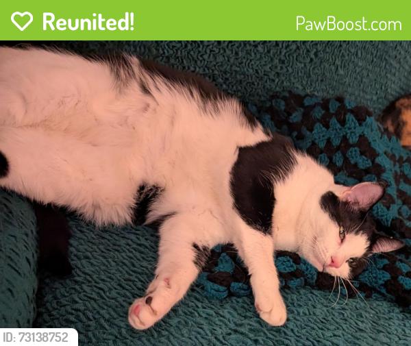 Reunited Male Cat last seen Howard and Oregon, San Diego, CA 92104