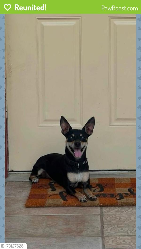 Reunited Male Dog last seen FORD, Stafford, TX 77477