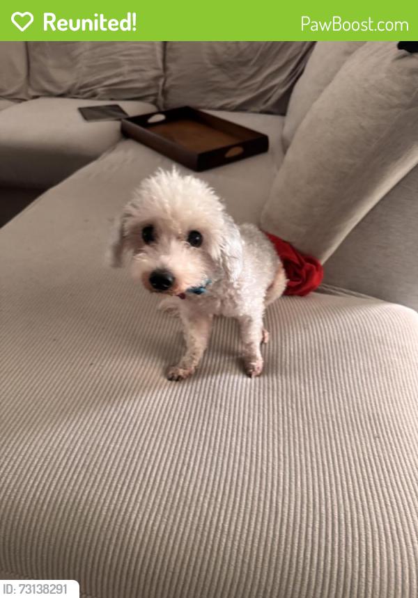 Reunited Female Dog last seen Hackley and Gadboys, North Port, FL 34286