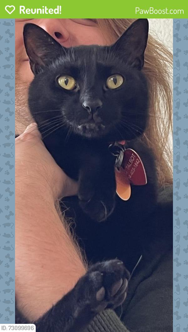 Reunited Male Cat last seen Slater and Springdale, Huntington Beach, CA 92649