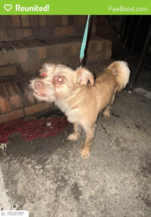 Reunited Male Dog last seen Old acworth rd and Croker rd, Dallas, GA 30132